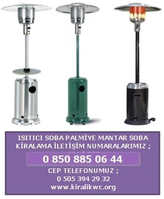 Mantar palmiye soba kiralama satış